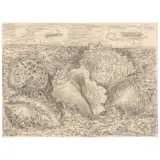 Jean Dufy, Coquillages, circa 1960, pencil on paper