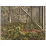 José Diego Reina Utset, Suelo con matojos, 2025, oil on canvas