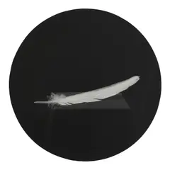 J. John Priola, 'Feather' (from 'Paradise'), 1993, Gelatin silver print; signed in ink on the reverse