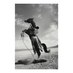 Ernst Haas, USA (Leaping Horse on the set of 'The Misfits') (from the portfolio 'Ten Photographers'), 1960, Gelatin silver print