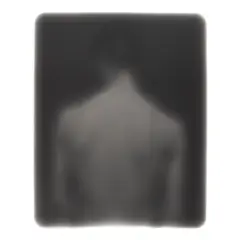 Bill Jacobson, 'Song of Sentient Beings #1530', 1995, Oversized gelatin silver print; flush-mounted