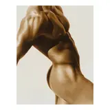 Herb Ritts, Paul, Torso, 1990, Toned gelatin silver print