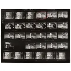 Lawrence Schiller, Marilyn Monroe on the Set of 'Something's Got to Give', Proof Sheet 14 (from 'Marilyn 12'), 1962, Oversized gelatin silver print