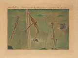 Max Ernst, Plantation farcineuse hydropique parasite