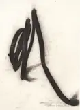 Bernar Venet, Undetermined line