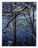 Eliot Porter, Untitled (from Intimate Landscapes Portfolio) (9)