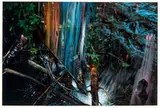 David T. Kessler, Creekside Turbulence through Painted Glass (from Staged Landscape Watercolor Series)
