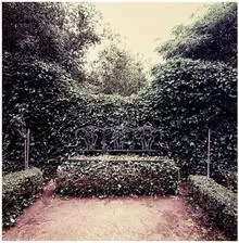 Richard Ross, Ivy Benches, Las Tejas, Santa Barbara, CA; Bacon Estate, Montecito, CA (2), Ektacolor plus color coupler photograph