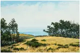 Peter Loftus, Eucalyptus Groves, 1984, Oil on canvas
