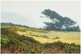 Peter Loftus, Incoming Fog, 1983, Oil on canvas