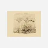 Lee Mullican, Untitled, 1947, ink on paper