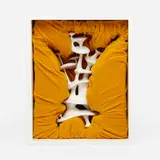 Peter Boynton, Box Series, 1997, epoxy, Sculpey, velvet and wood
