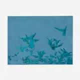 Whitney Bedford, Birds (Blue), 2005, ink and oil on panel