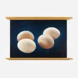 Barbara Broughel, Broken Eggs #3, 2005, oil on six poplar panels