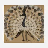 Waylande Gregory, Peacock, pastel and gouache on paper