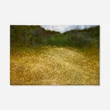 Paramjit Singh, Untitled (Meadow), 1995, oil on canvas