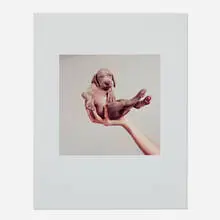 William Wegman, Hand Some, 2001, c-print on Fujicolor Crystal Archive