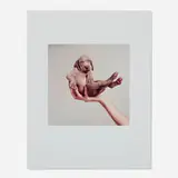 William Wegman, Hand Some