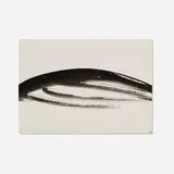 Dora Maar, Curve, ink on paper
