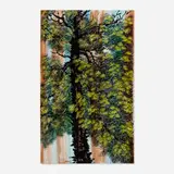 Charlotte Howard Porter, Oriental Tree, 1982, watercolor on paper