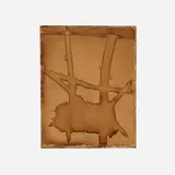 Rob Davis, Slew, 2013, coffee on canvas