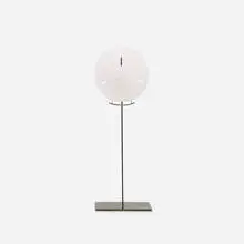 Carol Bove, Untitled, 2009, anodized brass, sand dollar