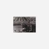 Untitled (from North of the Danube) by Margaret Bourke-White, 1939, toned vintage gelatin silver print, sold Jul 2017