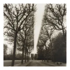 Lynn Geesaman, 'Parc de Sceaux', 1995, Toned gelatin silver print; signed