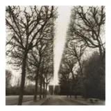 Lynn Geesaman, 'Parc de Sceaux', 1995, Toned gelatin silver print; signed