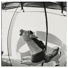 Manuel Álvarez Bravo, Caballo de Feria (Fairground Horse), c. 1975, Gelatin silver print