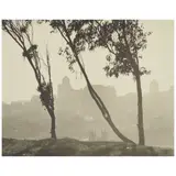William E. Dassonville, San Francisco from Telegraph Hill, c. 1920s, Gelatin silver print on Dassonville Charcoal Black paper; the photographer's estate stamp on the reverse