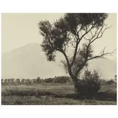William E. Dassonville, Owens Valley, California, c. 1930s, Gelatin silver print on Dassonville Charcoal Black paper; the photographer's estate stamp on the reverse