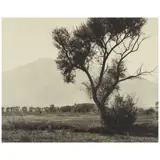 William E. Dassonville, Owens Valley, California, c. 1930s, Gelatin silver print on Dassonville Charcoal Black paper; the photographer's estate stamp on the reverse