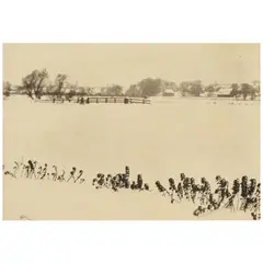 Peter Henry Emerson, Marsh Weeds (Plate VI from 'Marsh Leaves'), 1895, Photogravure