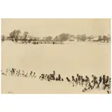 Peter Henry Emerson, Marsh Weeds (Plate VI from 'Marsh Leaves'), 1895, Photogravure