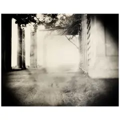 Sally Mann, Untitled, 1998, Toned gelatin silver print