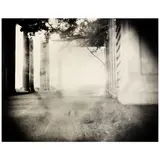 Sally Mann, Untitled, 1998, Toned gelatin silver print