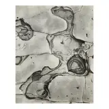 Brett Weston, Rock Form, 1960, Gelatin silver print