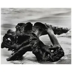 'The Emptying Waves' by Wynn Bullock, 1951, Gelatin silver print, sold Jul 2026