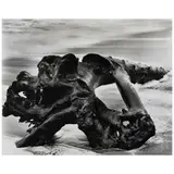 Wynn Bullock, 'The Emptying Waves', 1951, Gelatin silver print