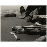 Edward Weston, Moonstone Beach (from 'The Photographs of Edward Weston'), 1937, Gelatin silver print