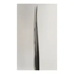 Imogen Cunningham, Flax, c. 1926, Gelatin silver print; with annotation 'print one reversed' in ink on the reverse; accompanied by a letter of authenticity issued by The Imogen Cunningham Trust