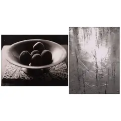 Paul Caponigro, Selected Polaroids (comprising 'Reeds in Ice, Coventry, Connecticut' and 'Peaches, Hillsboro, New Hampshire'), c. 1963 and 1966, Two Polaroid prints; signed in pencil and one with the photographer's credit stamp on the reverse