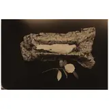 Masao Yamamoto, Untitled #18 and Untitled #49 (from 'Box of Ku')