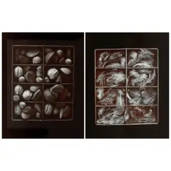 Olivia Parker, Selected Images (comprising 'Mixed Nuts' and 'Pheasant'), 1975 and 1976, Two selenium-toned silver chloride prints