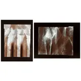 Olivia Parker, Selected Images (comprising 'Silver Heat' and 'Moment'), 1976, Two selenium-toned silver chloride prints