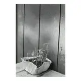 Arnold Newman, Untitled (Still Life)