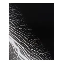 Hiroshi Sugimoto, Lightning Fields 304 (with book 'The Long Never'), 2014, Gelatin silver print; edition '12/25' and number '19.304' blindstamped in the margin, mounted
