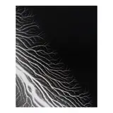 Hiroshi Sugimoto, Lightning Fields 304 (with book 'The Long Never')