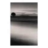 Michael Kenna, 'Biwa Lake Tree, Omi, Japan'